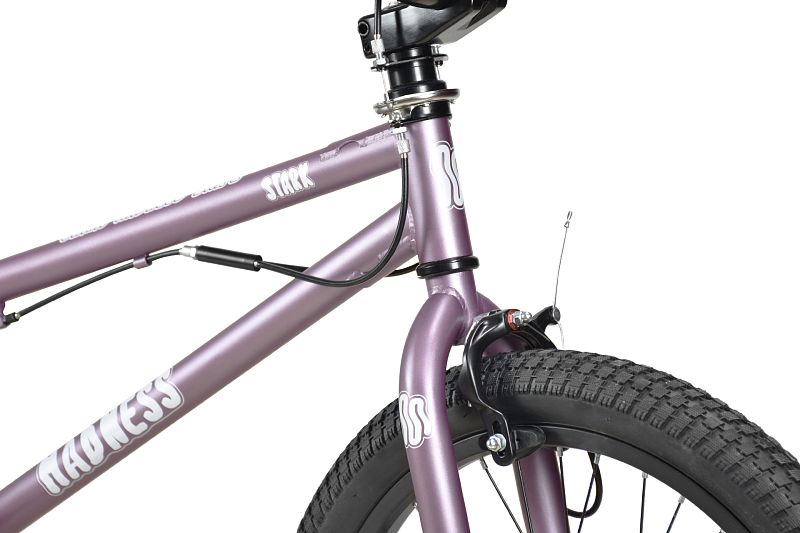 Madness BMX 2 (2024)