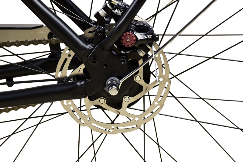 Comfort Lady 28 D (2025)