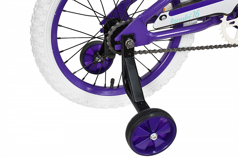 Tanuki 16 Girl (2023)