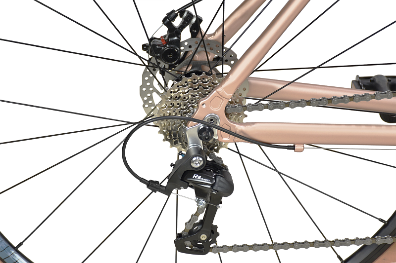 Gravel 700.2 D (2023)