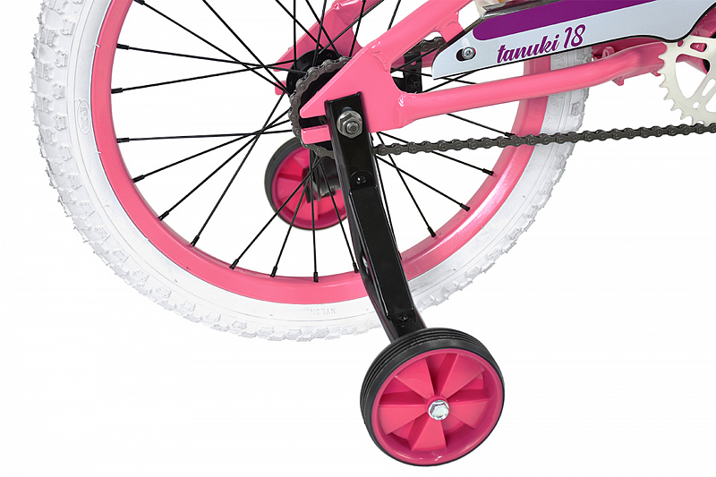 Tanuki 18 Girl (2023)