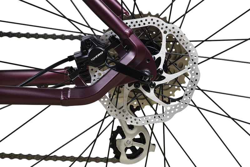 Router 27.2 HD (2025)