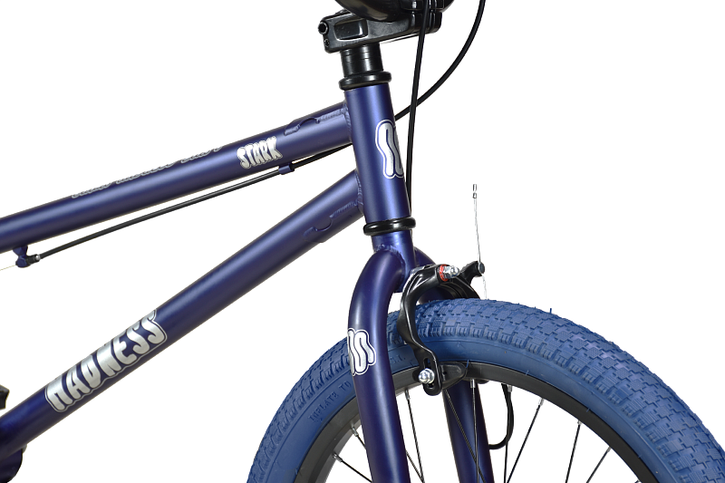 Madness BMX 1 (2024)