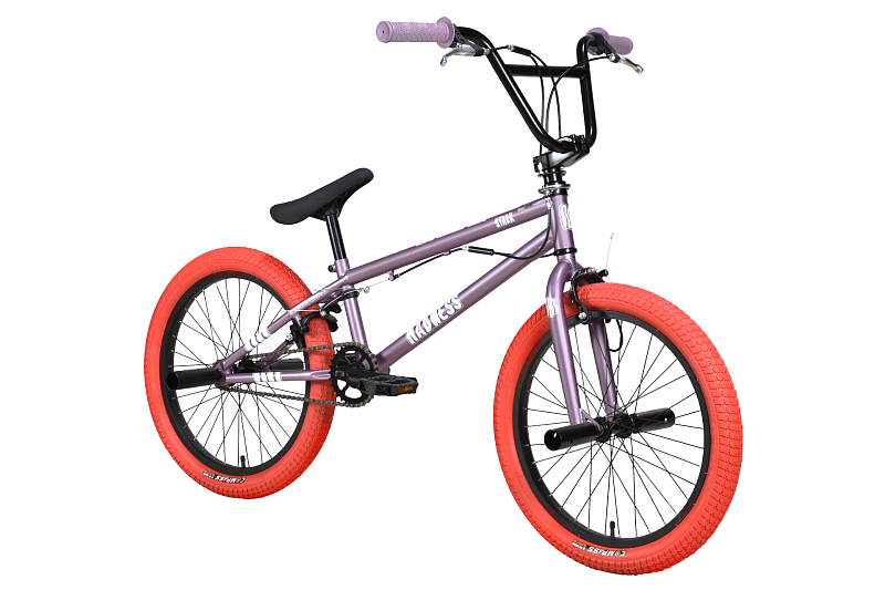 Madness BMX 2 (2024)