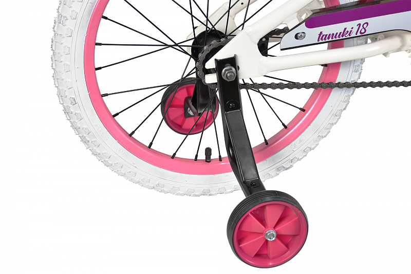 Tanuki 18 Girl (2023)