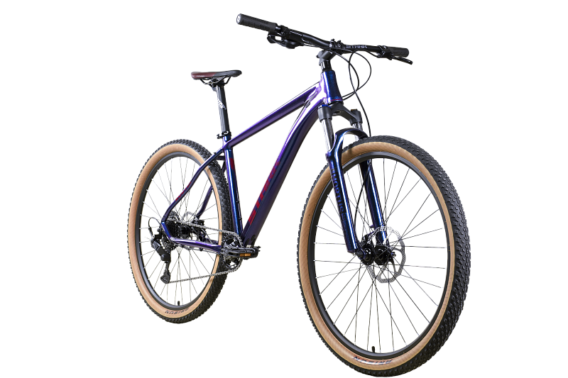 Router 29.4 HD (2025)