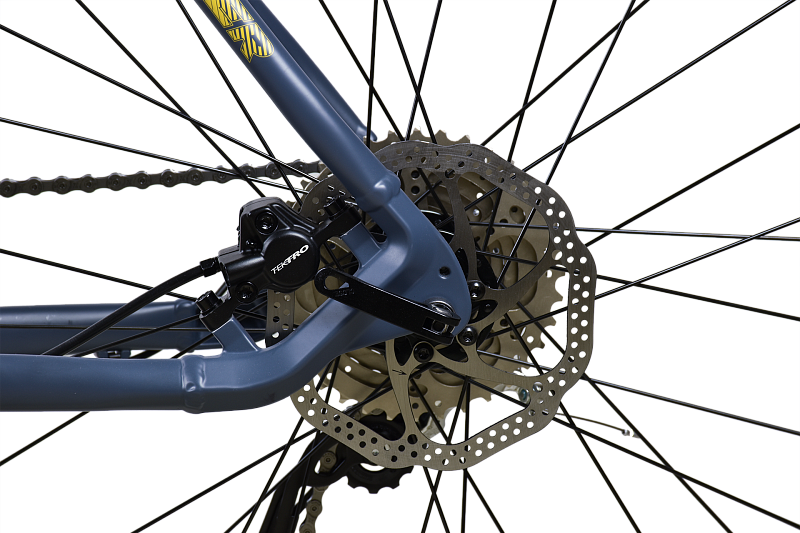 Router 29.3 HD (2025)